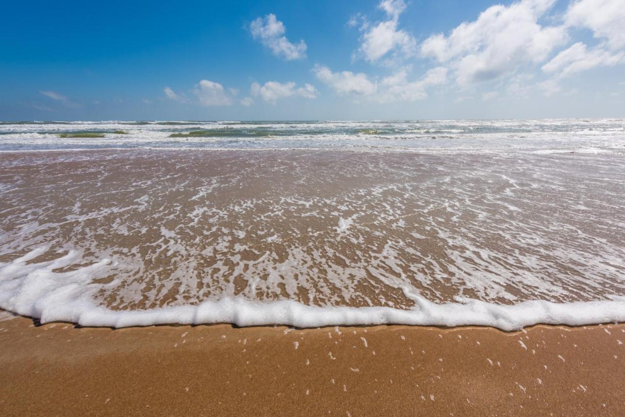 Sand Dollar Condominiums Daytona Beach Shores Bagian luar foto